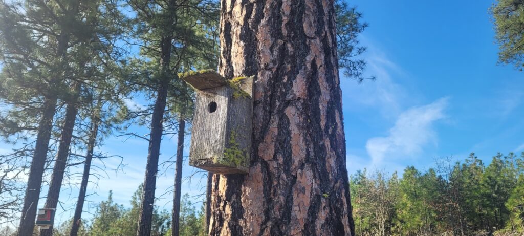 An old bird house that is still being used.