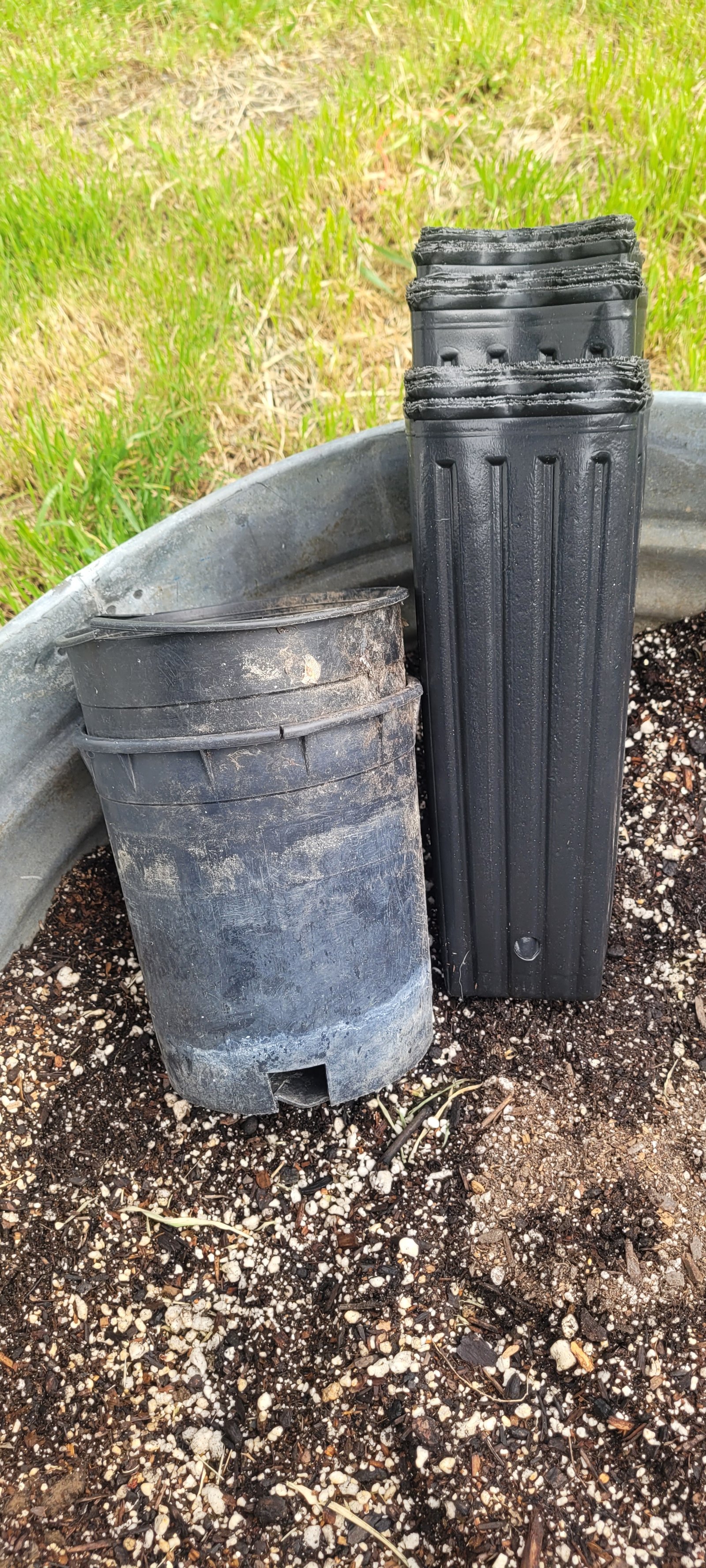 deep-tree-planting-pots.jpg