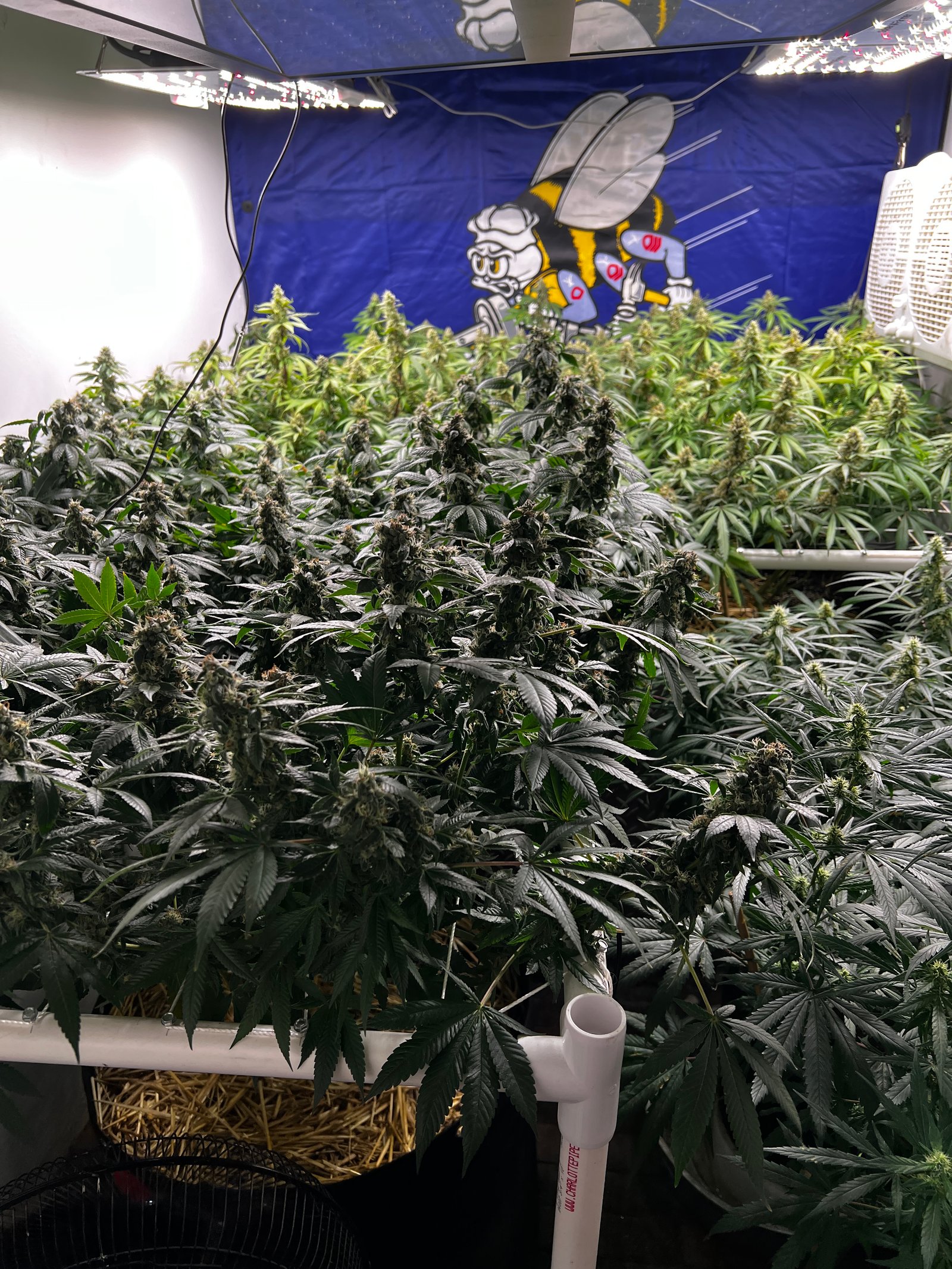 IMG_1461.jpeg